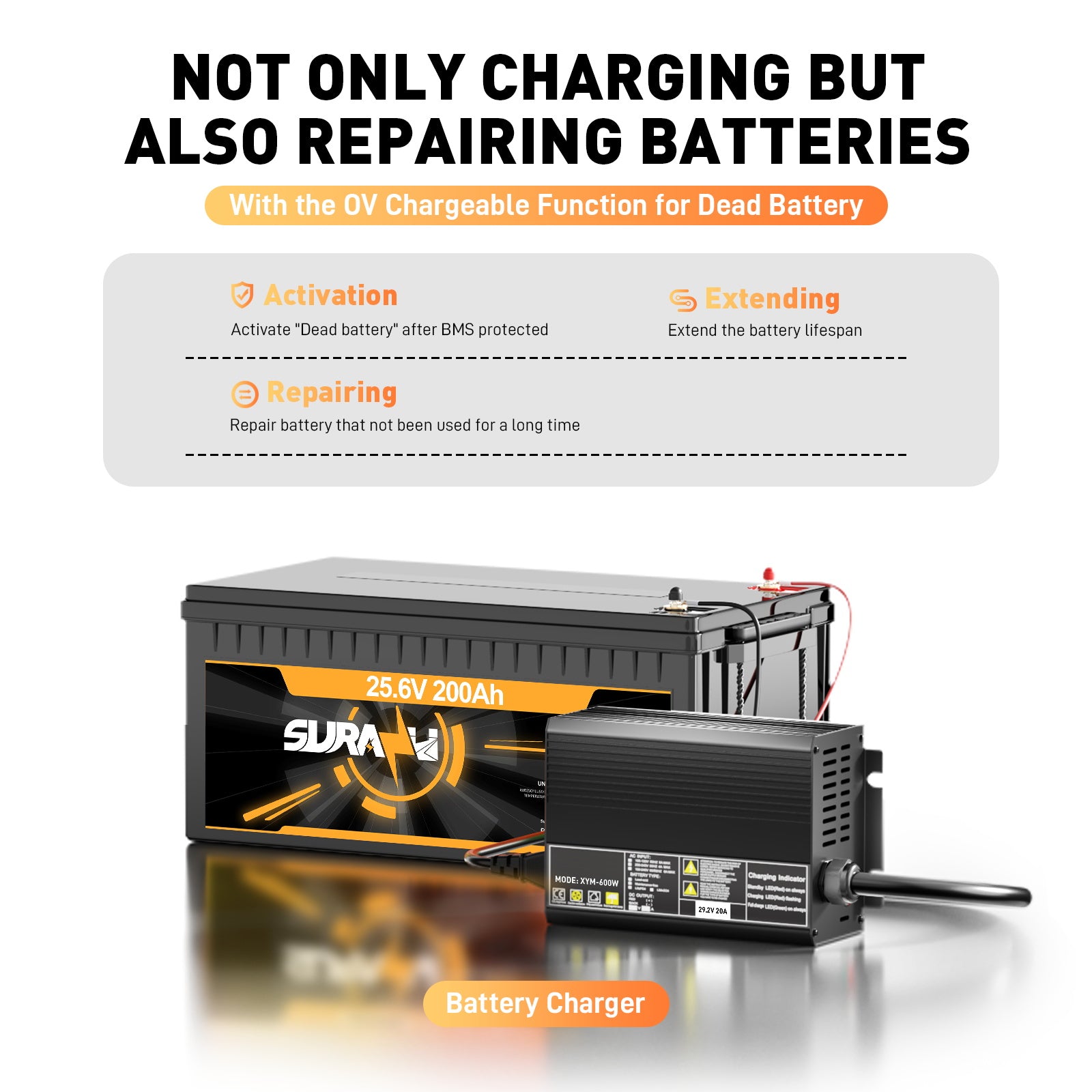 29,2 V 20 A LiFePO4-Batterieladegerät für 25,6 (24 V) Batterien, 0 V BMS-Aktivierung, entwickelt für Trolling-Motoren, Angeln und Camping